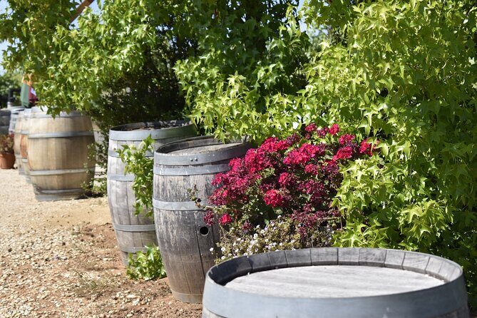 Napa Valley Wine Tasting Tour 6 to 8 Hours max 14 passenger - Who Would Love This Tour?