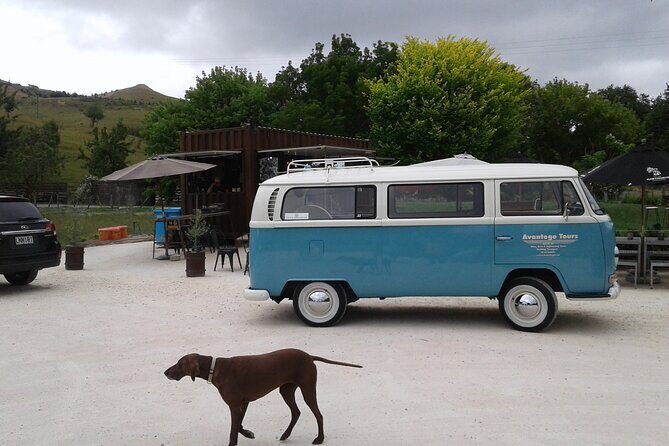Napier and Hawkes Bay Scenic and Art Deco Tour by VW Kombi - An In-Depth Look at the Experience