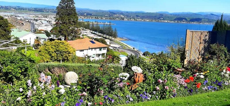 Napier: Art-Deco + Te Mata Peak+ Garden Walk + Wine Tasting - Key Points