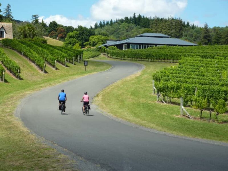 Napier: Cape Coast Winery Tour on E-Bikes - Setting the Scene for Your Day