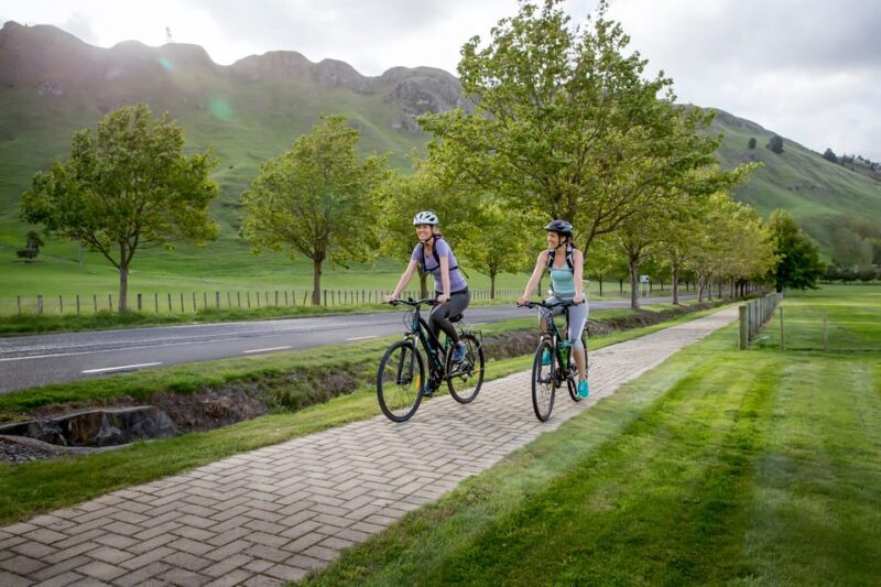 Napier: Cape Coast Winery Tour on E-Bikes - The Final Stops and Return