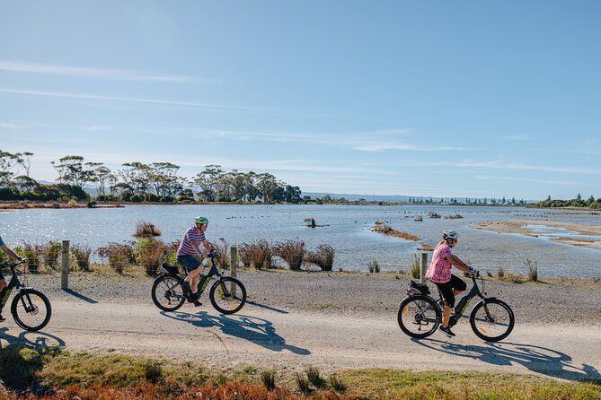 Napier E-bike Hire - Key Points