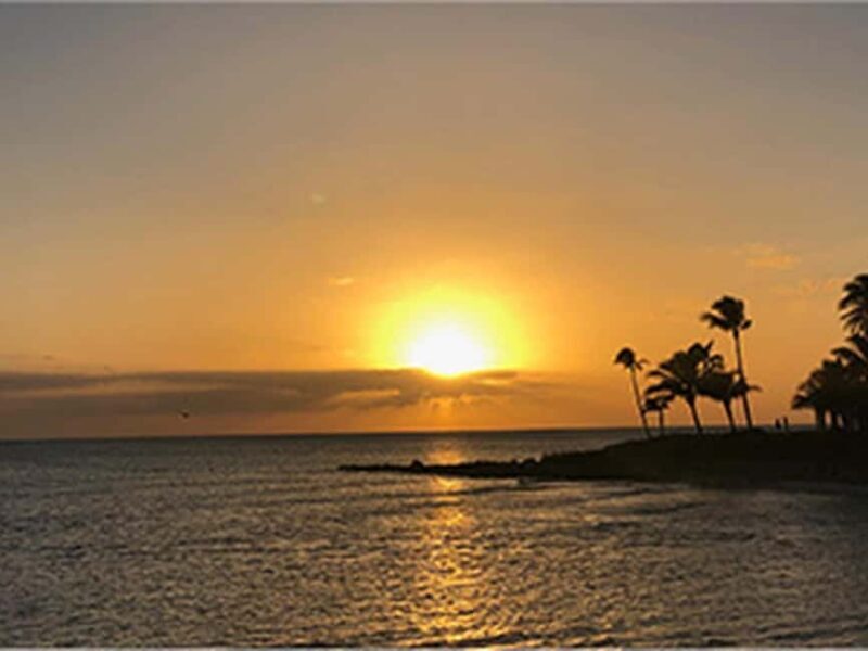 Naples: Catamaran Cruises with Wildlife Views - Final Thoughts