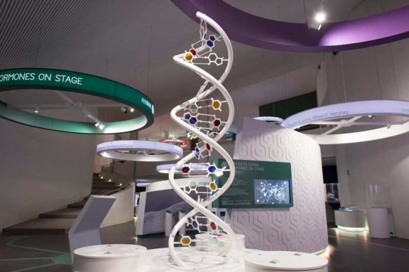 Naples: Città della Scienza Interactive Museum Entry Ticket - Who Should Consider Visiting?