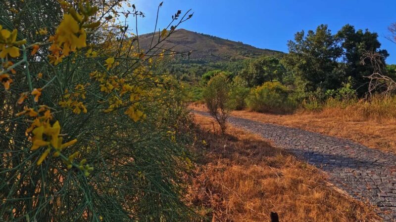 Naples: E-bike Tour on Mount Vesuvius with a Cycling Guide - Key Points
