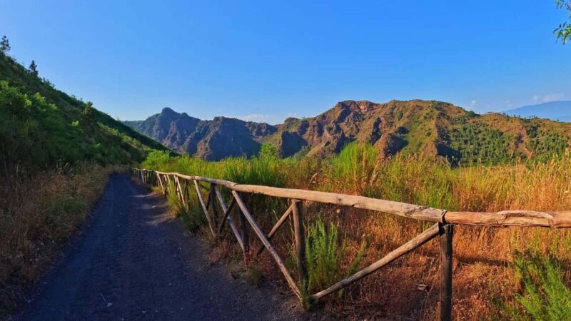 Naples: E-bike Tour on Mount Vesuvius with a Cycling Guide - A Closer Look at the Experience