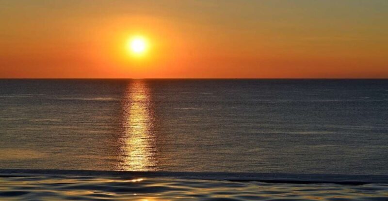 Naples, FL: Manatee, Dolphin, 10,000 Islands Sunset Cruise - The Island Stop: Whitehorse Key