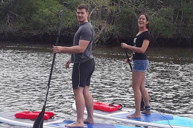 Naples Fl, Paddleboard Mangrove Forest Tour - The Experience: A Closer Look