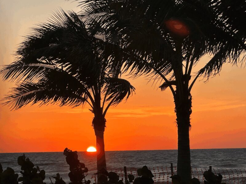 Naples Florida: Famous Sunset Tour - Electric Trike Tour - Practical Details and Tips