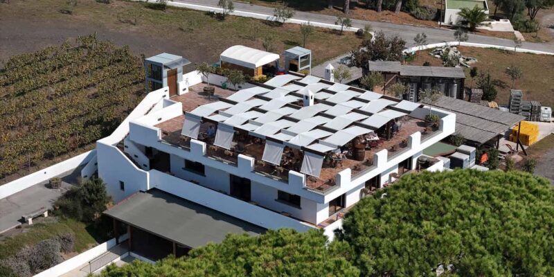 Naples: Guided Walking Tour with Lunch and Wine Tasting - What to Expect from the Tour