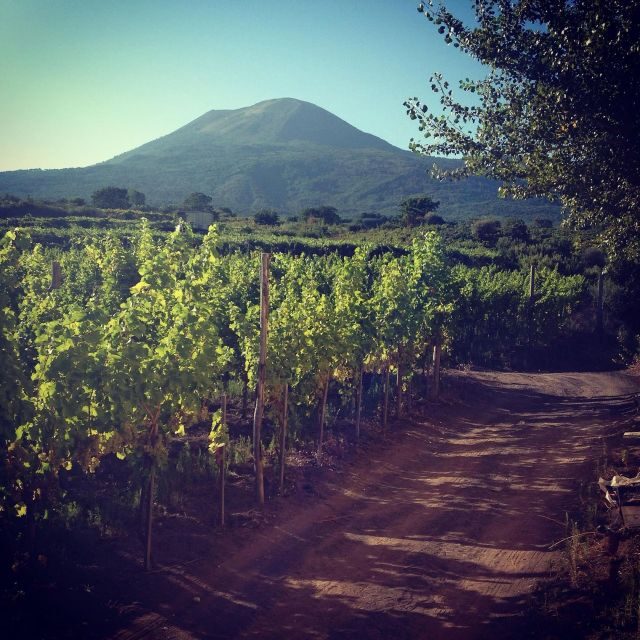 Naples: Mount Vesuvius Vineyard Tour w/ Lunch & Wine Tasting - Final Thoughts