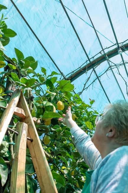 Naples: Mozzarella Experience, Taste of Southern Italy - What’s Included and How It Feels