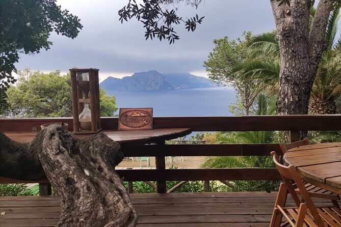 Naples port tour Sorrento and pompeii and overview of positano - Who Should Book This Tour?