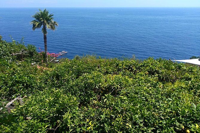 Naples port tour Sorrento and pompeii and overview of positano - FAQ