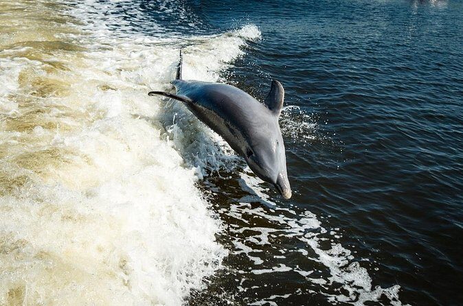 Naples Sightseeing Day Cruise 40' Vessel - Who Will Love This Tour?