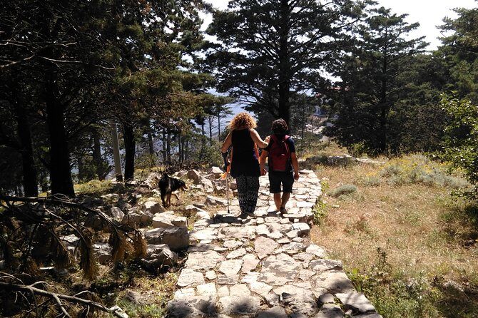 Naples Tour - Final Thoughts: Is This Tour Right for You?