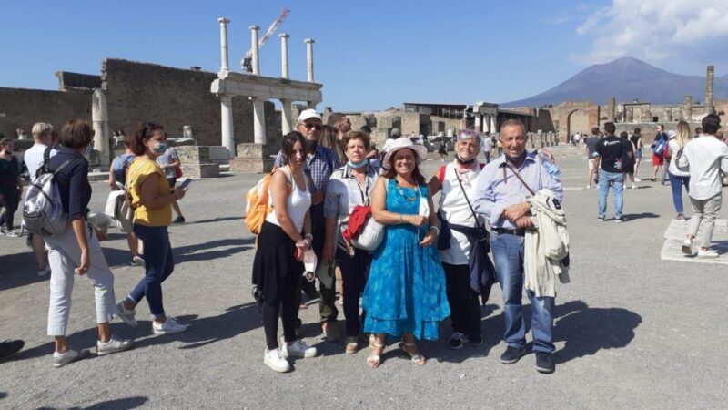 Naples: Visit Pompeii with a private professional guide 2hrs - Key Points