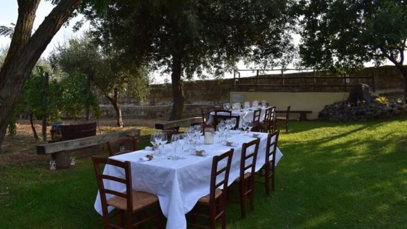 Naples: winery tour & wine tasting on Astroni crater - What makes this tour special?