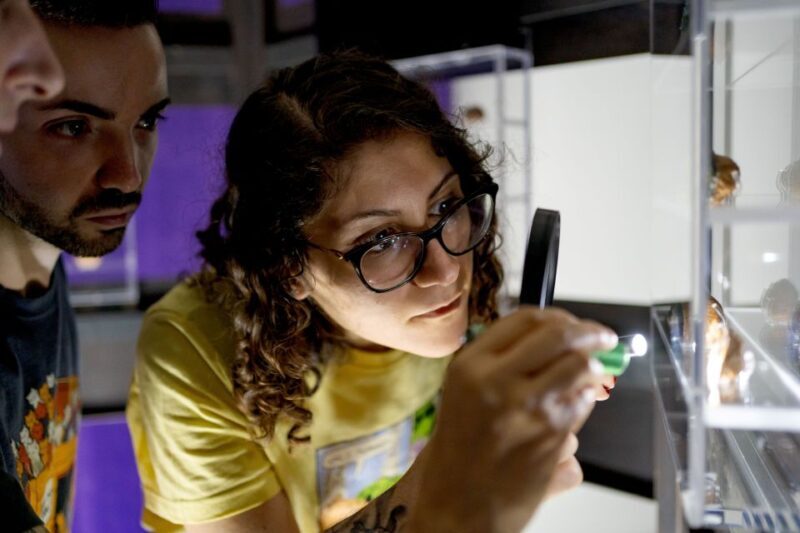 Napoli: Museodivino Entrance Ticket and Guided Tour - What to Expect from Your Visit to Museodivino