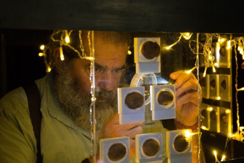 Napoli: Museodivino Entrance Ticket and Guided Tour - Final Thoughts