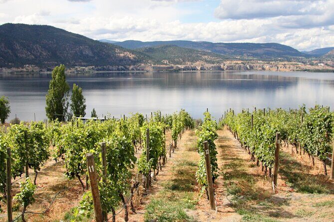 Naramata Private Wine Tour - Full Day - Exploring the Naramata Private Wine Tour — Is It Worth It?