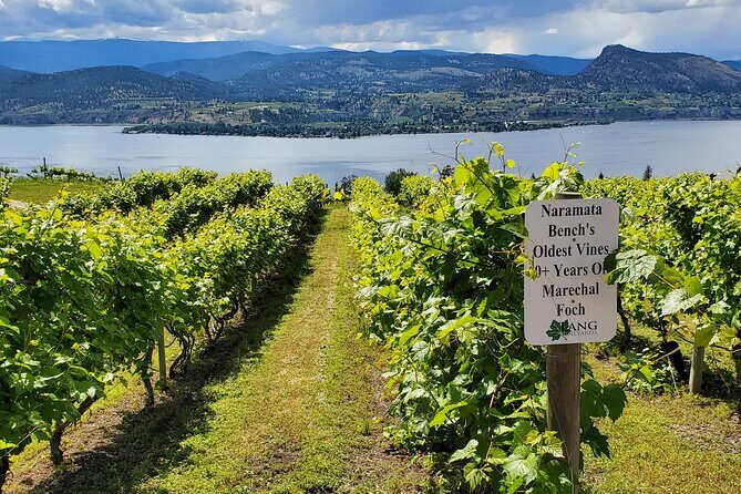 Naramata Private Wine Tour - Half Day - Key Points