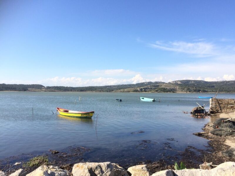 Narbonne, Gruissan & Lagrasse village . Day tour - Who Will Enjoy This Tour?