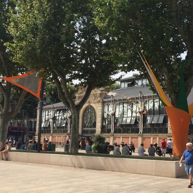 Narbonne, Gruissan & Lagrasse village . Day tour - FAQ