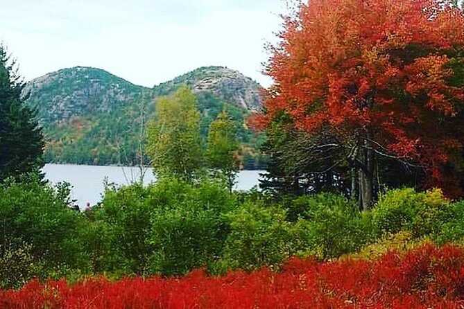 Narrated Bus Tour of Bar Harbor and Acadia National Park - FAQ