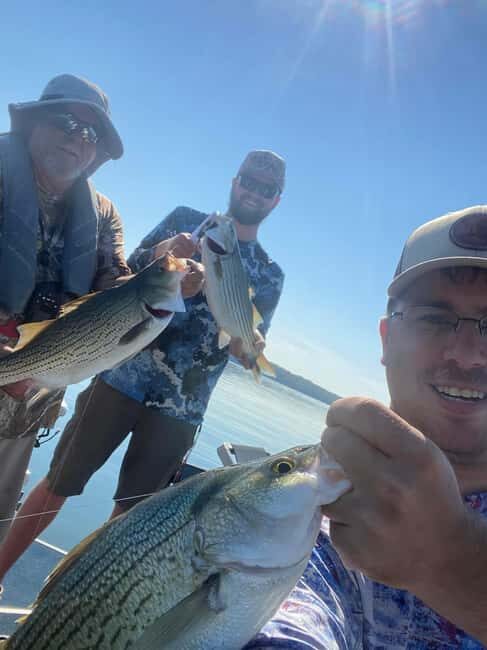 Nashville: Hybrid and Striped Bass Fishing Trip - What You Can Expect from the Nashville Hybrid and Striped Bass Trip