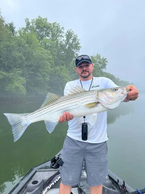 Nashville: Hybrid and Striped Bass Fishing Trip - The Real-World Review: From Enthusiasts to First-Timers