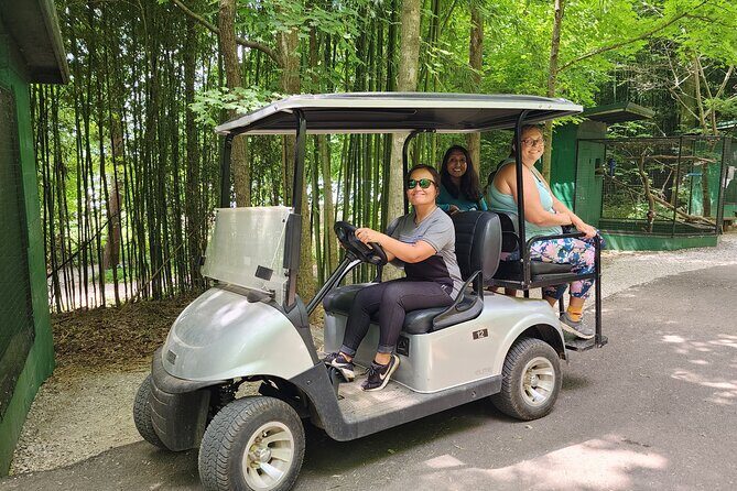 Nashville to Kentucky Caves & Kangaroos: A Day of Enchantment - What the Reviews Say