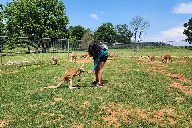 Nashville to Kentucky Caves & Kangaroos: A Day of Enchantment - Final Thoughts