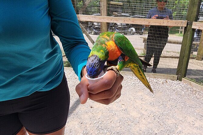 Nashville to Kentucky Caves & Kangaroos: A Day of Enchantment - FAQs