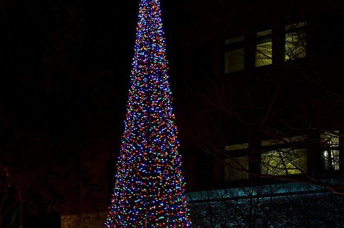 Nashvilles Holiday Harmony: A Private Christmas Melody Tour - The Price and Its Value