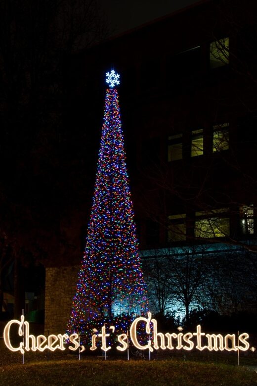 Nashvilles Holiday Harmony: A Private Christmas Melody Tour - FAQs