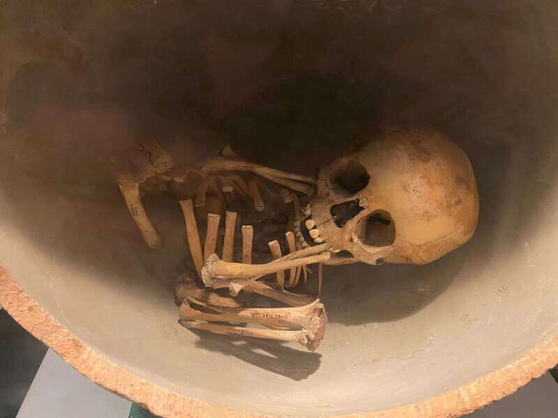 National Museum of Anthropology: A Journey into Mexico's Past-Spanish Language - Authentic Insights from Other Travelers