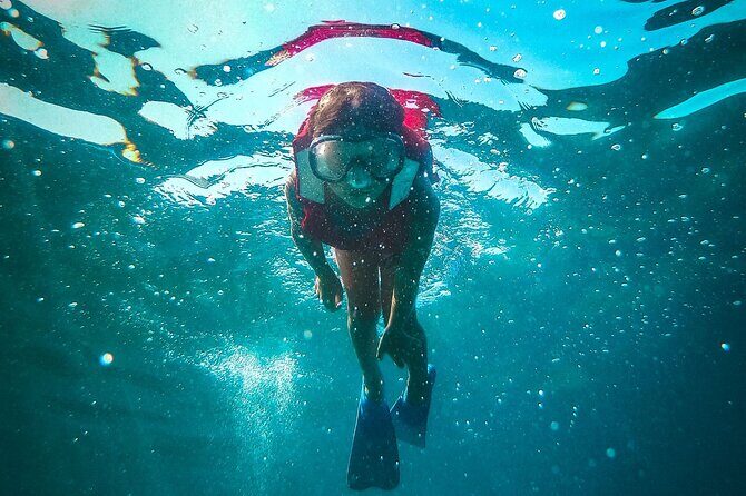 National Park Kornati & Telascica Nature Park for 15 people max - A Deep Dive into the Kornati & Telascica Boat Tour