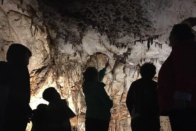National Park Lovcen and Lipa Cave (Private tour) - Who Should Consider This Tour?