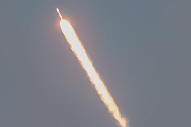 National Park Pedal Kayak Tours in New Smyrna Beach - Practical Details and Booking