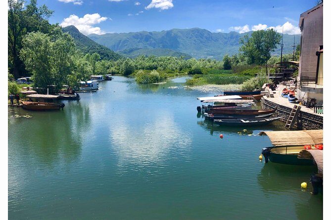 National park Skadar Lake (Private tour) - What to Expect from the Tour