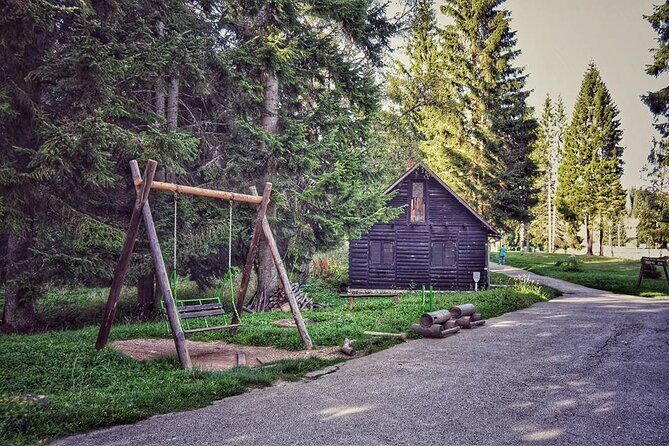 National park Tara - private day tour - What You Can Expect from the Tour