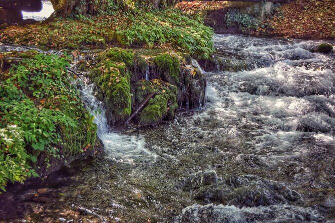 National park Tara - private day tour - Final Thoughts