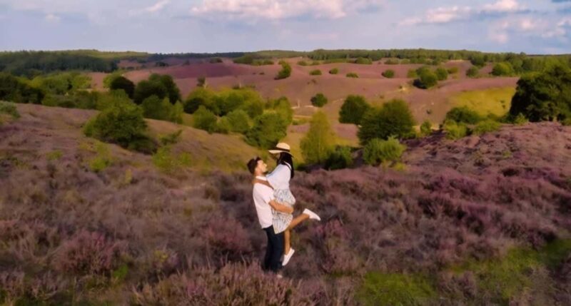 National Park Veluwe Guided Walk with Coffee and Cake - Discovering the Heart of Veluwe