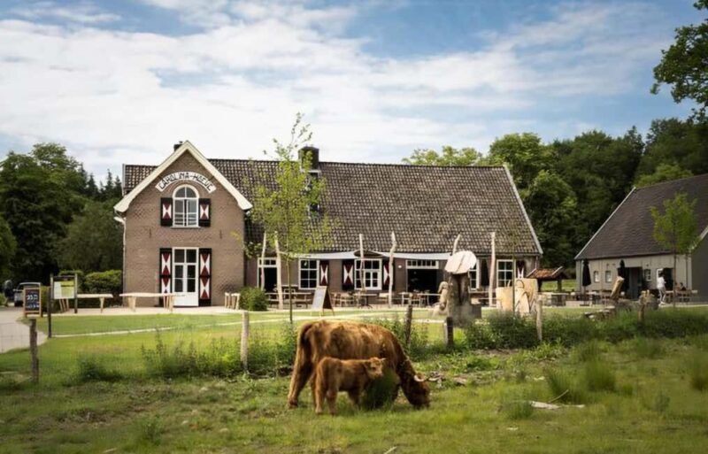 National Park Veluwe Guided Walk with Coffee and Cake - The Coffee, Cake, and Dutch Hospitality