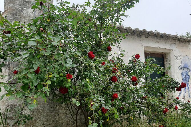 NATURA TOUR - Countryside of Lagos - ECO TUK and LOCAL guide - FAQ Section