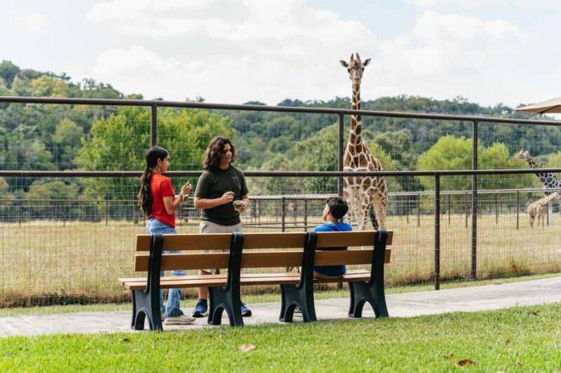 Natural Bridge Wildlife Ranch: Self-Guided Safari Drive-Thru - The Sum Up