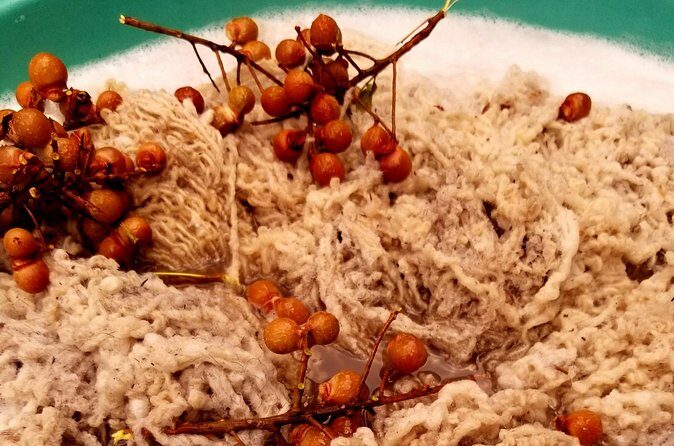 Natural Dyeing and Organic Weaving Workshop in Oaxaca - FAQs