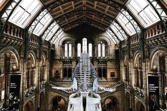 Natural History Museum London - Exclusive Guided Museum Tour - The Itinerary in Detail