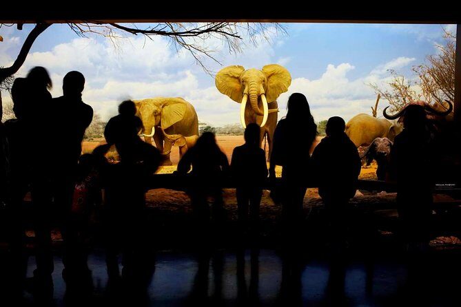 Natural History Museum of Los Angeles County Admission - Who Should Visit?